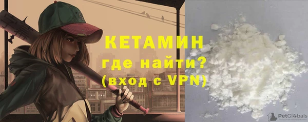 крисы Абаза