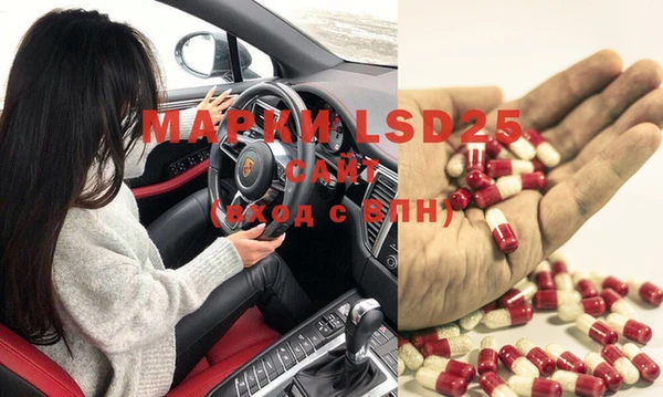 крисы Абаза