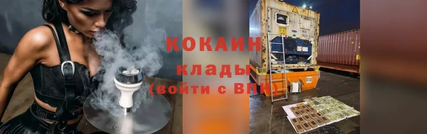 крисы Абаза