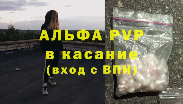 крисы Абаза