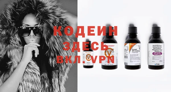крисы Абаза