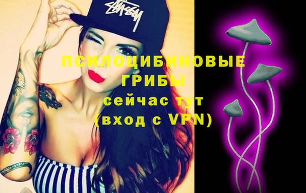 2c-b Абдулино
